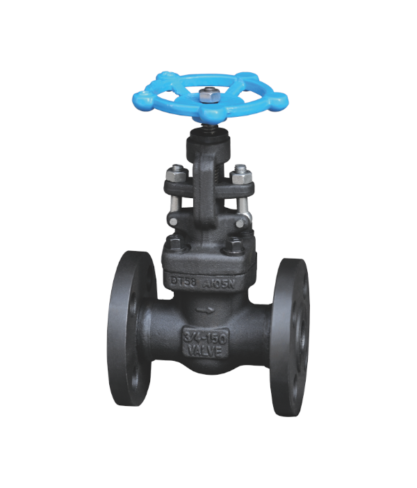 美标锻钢法兰截止阀